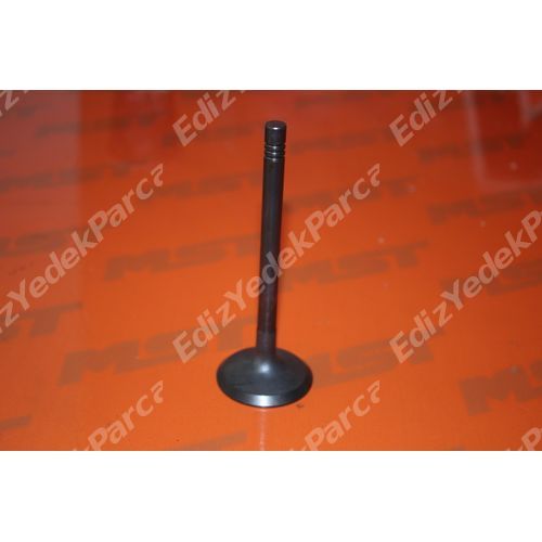 /api/images/partimg/3142h101-emme-valfi-1454.jpg