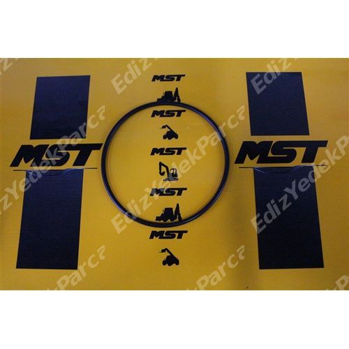 /api/images/partimg/52701056-o-ring-filtre-kabi-2919.jpg